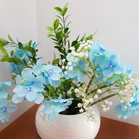 Otel Italia Gabicce Mare